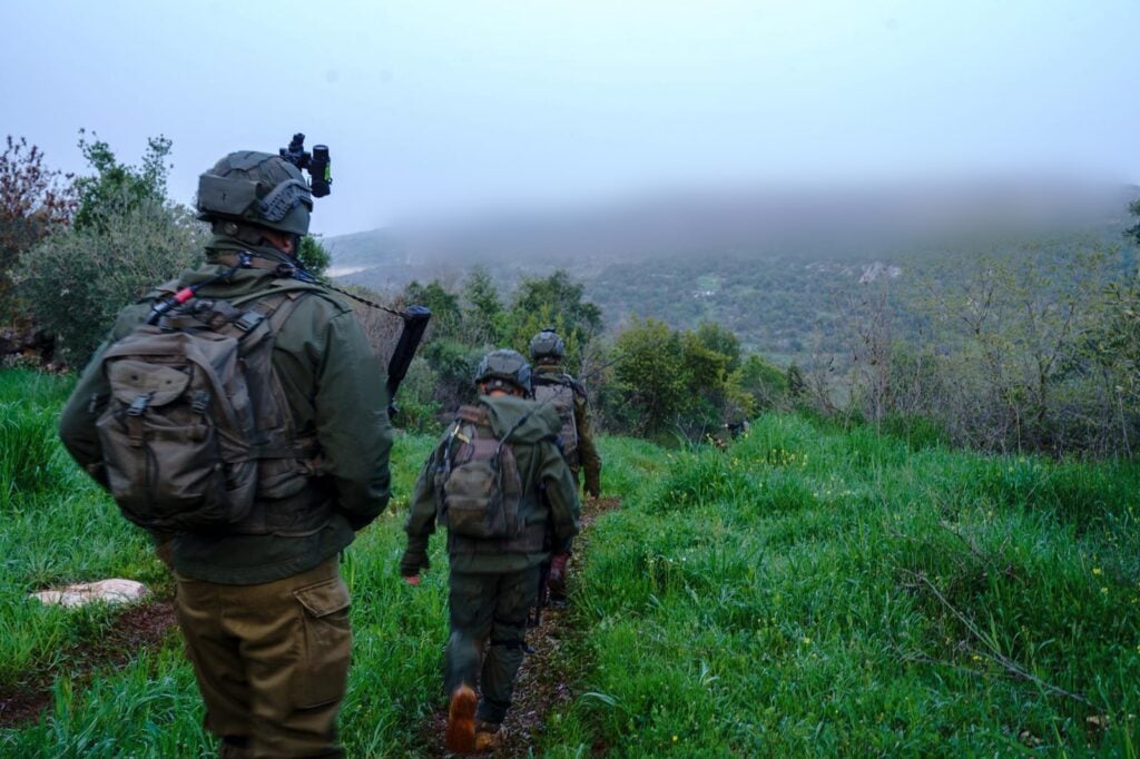 פעילות כוחותינו, דרום לבנון |