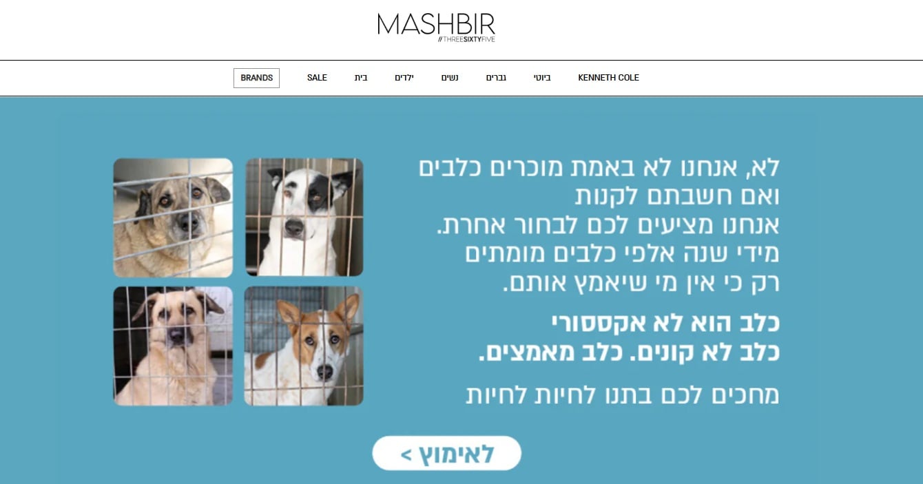 משביר מכירת כלבים  קרדיט: צילום מסך