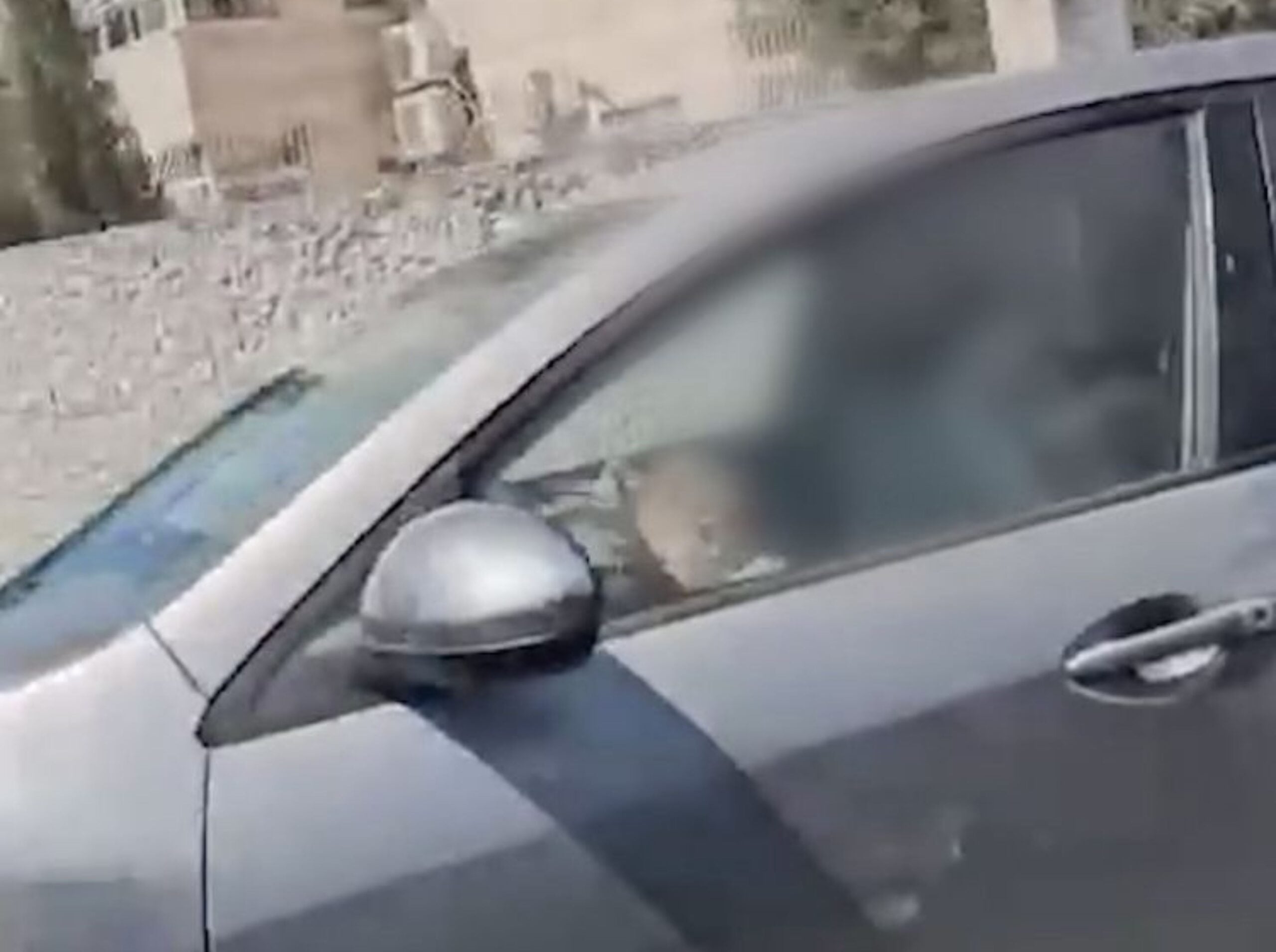 תיעוד מסוכן מירושלים "הוא חסר ישע״: נהג תועד כשבנו הפעוט יושב בין רגליו | צפו