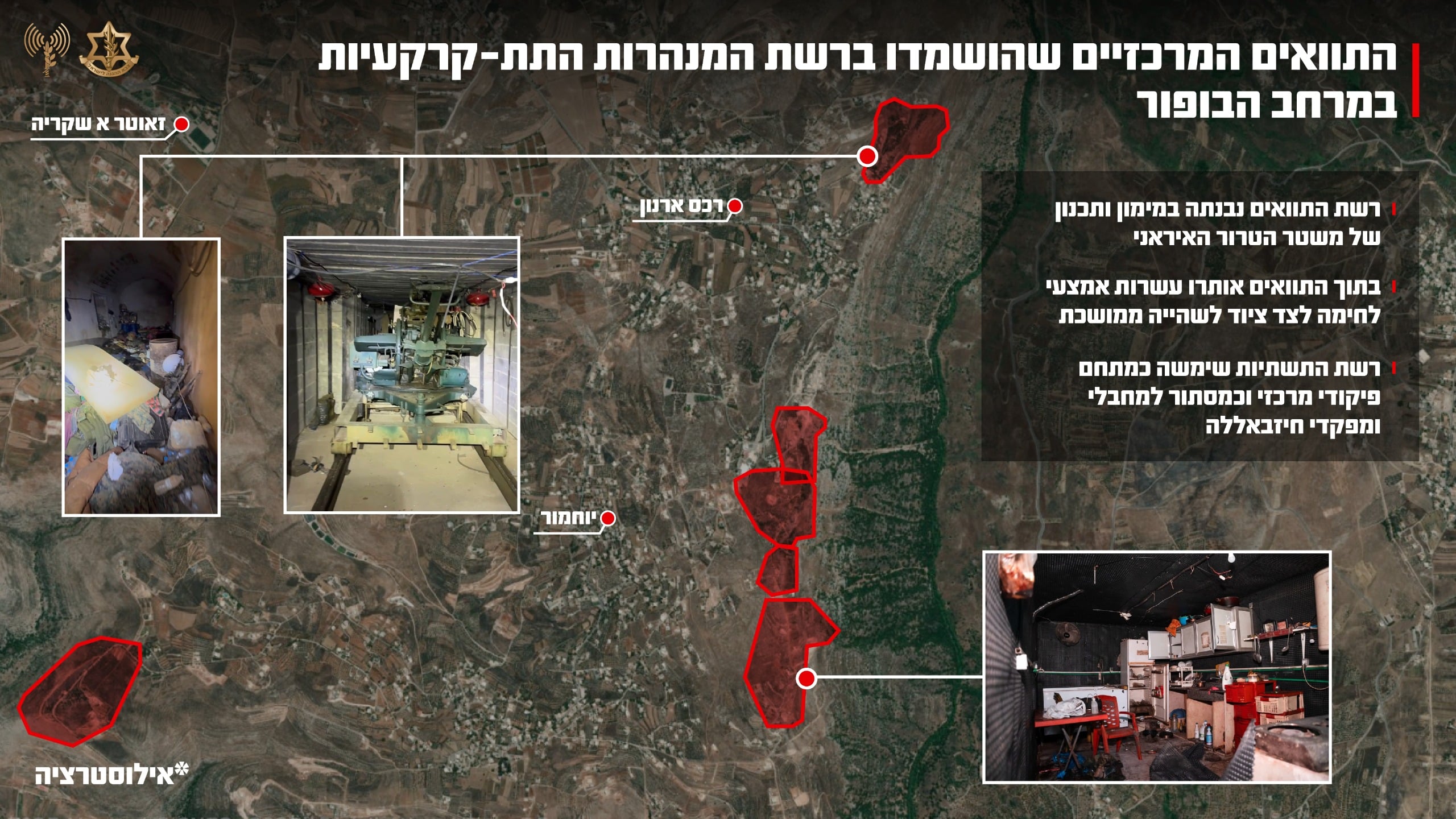 תמונת כתבה