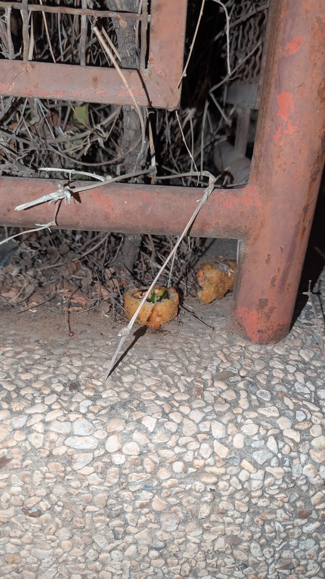 סושי זרוק מחוץ לבניין