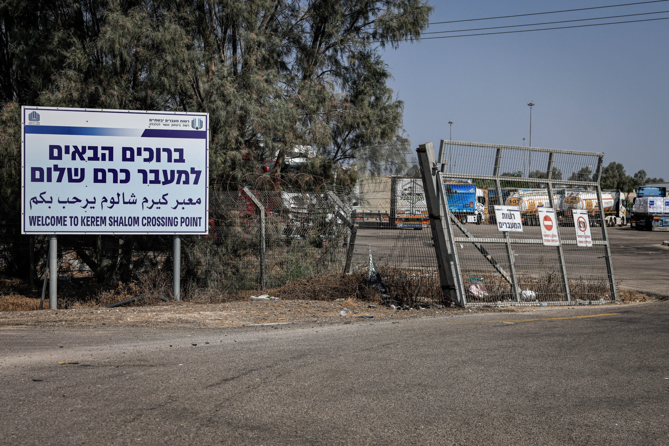 תמונת כתבה