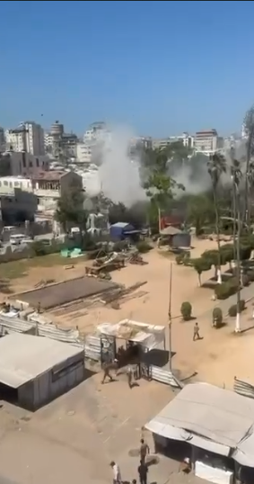 תמונת כתבה