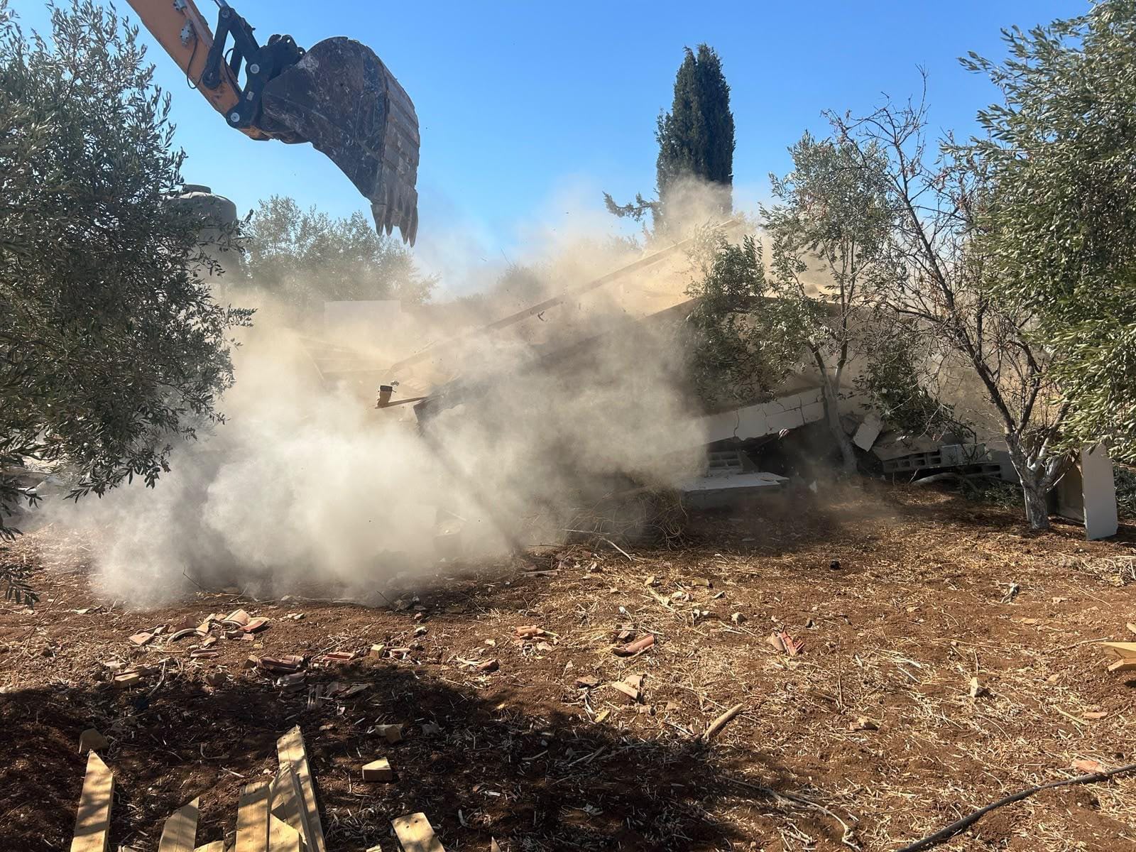 תמונת כתבה