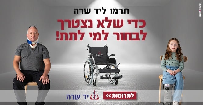 תמונת כתבה