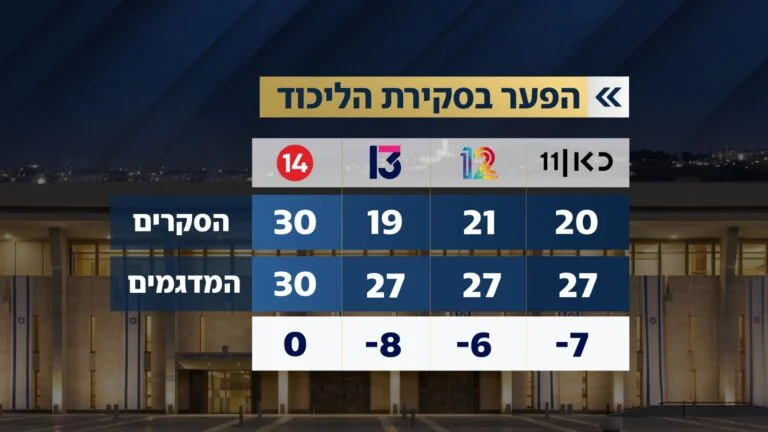 תמונת כתבה